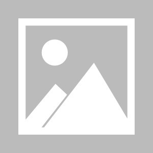 皇冠体育平台-【早报】今年过年，门上就贴他俩！