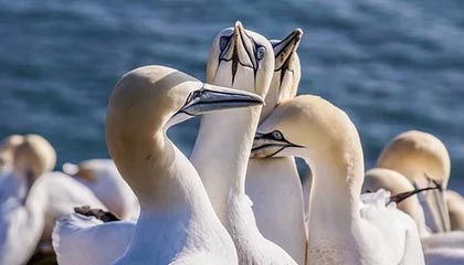 星空体育官网入口：开启极致体育新体验的官方通道